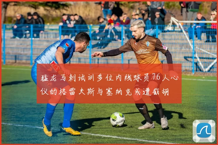 猛龙马刺试训多位内线球员76人心仪的格雷夫斯与塞纳克或遭截胡