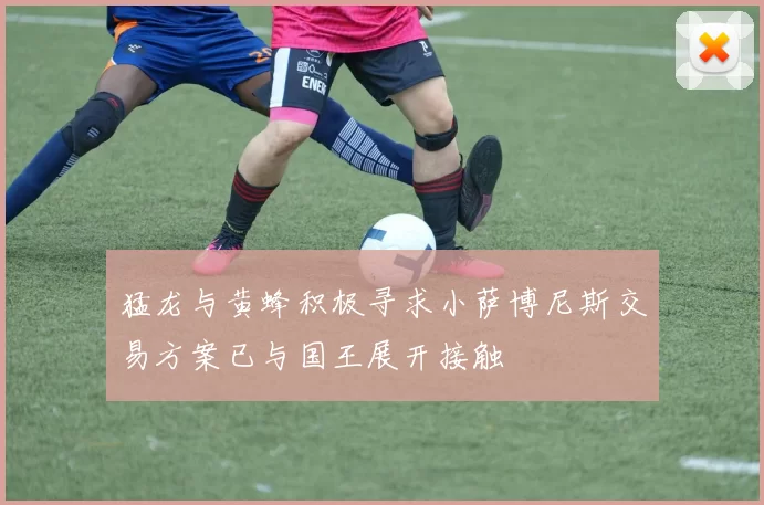 猛龙与黄蜂积极寻求小萨博尼斯交易方案已与国王展开接触